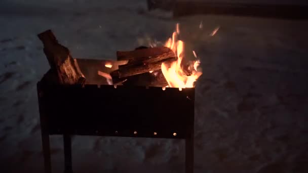 Tűz a kandallóban — Stock videók