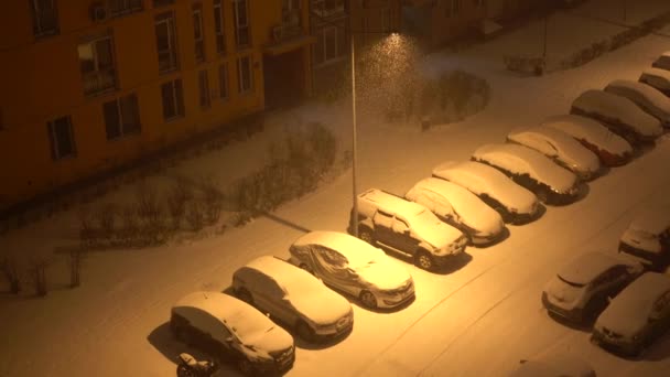 Pesanti nevicate di notte in città, neve che cade contro la luce di un lampione — Video Stock