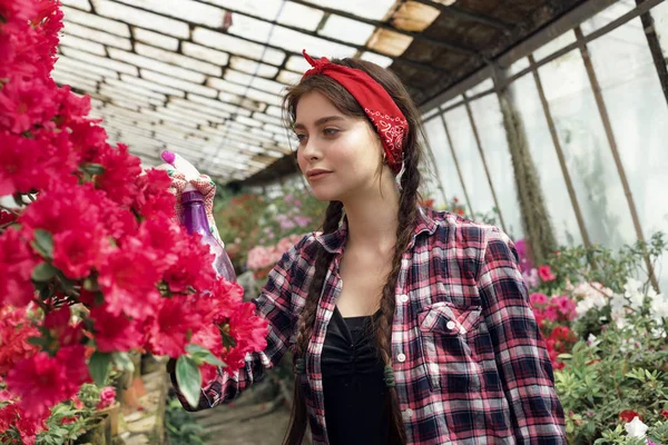 Piękna studentka z czerwonym opaską pielęgnacyjne kwiaty w szklarni w klasie biologii — Zdjęcie stockowe