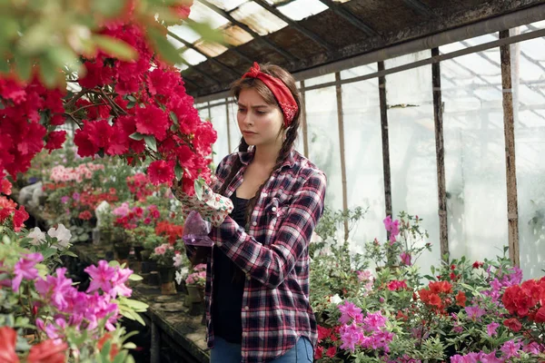Hermosa estudiante con una diadema roja cuidado flores en invernadero en clase de biología — Foto de Stock