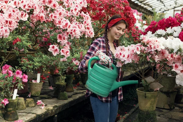 Mujer feliz jardinero en una camisa a cuadros con una diadema roja regando flores de colores — Foto de Stock