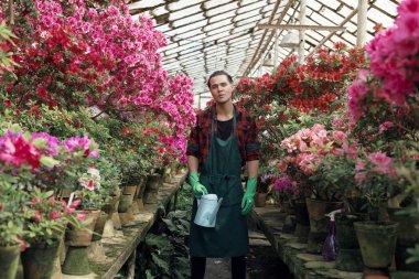 Trendy saç modeli ile iş kıyafetleri yakışıklı güzel genç adam