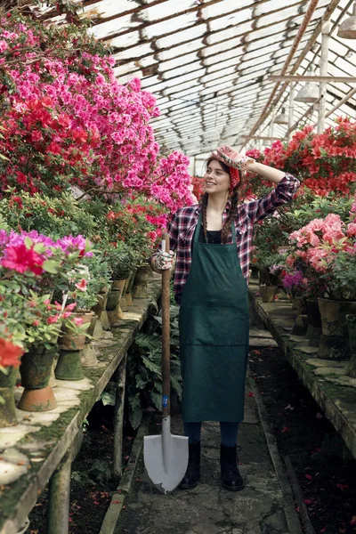 Niña jardinera en delantal y guantes con una gran pala, cogida de la mano sobre su cabeza, mirando hacia otro lado en invernadero — Foto de Stock