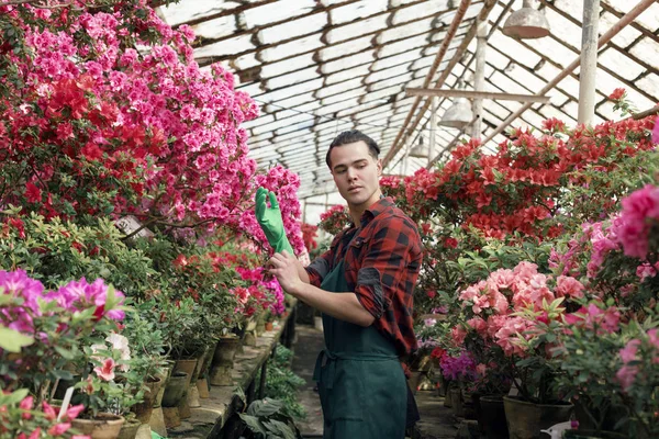 Attractive young male gardener with trendy hairstyle wearing green garden gloves