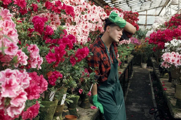 Piękny ogrodnik młody człowiek w zielonym fartuch i rękawice ogrodowe odpoczynku po ciężkiej pracy z wiosennych kwiatów w szklarni — Zdjęcie stockowe