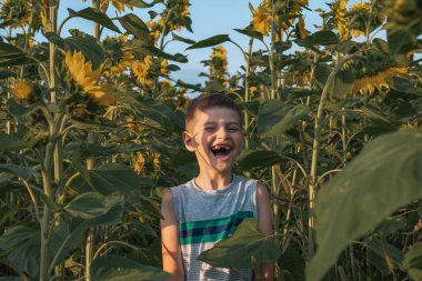 Mutlu gülümseyen genç çocuk ön dişleri olmadan günçiçekleri arasında duran ve kameraya bakarak rahat gri t-shirt giyiyor