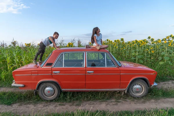 Lustige Teenie-Kinder in lässiger Kleidung spielen zusammen auf dem roten Retro-Auto inmitten des Sonnenblumenfeldes, ein Mädchen sitzt auf dem Dach und ihr Bruder schwänzt, um sie zu bekommen — Stockfoto