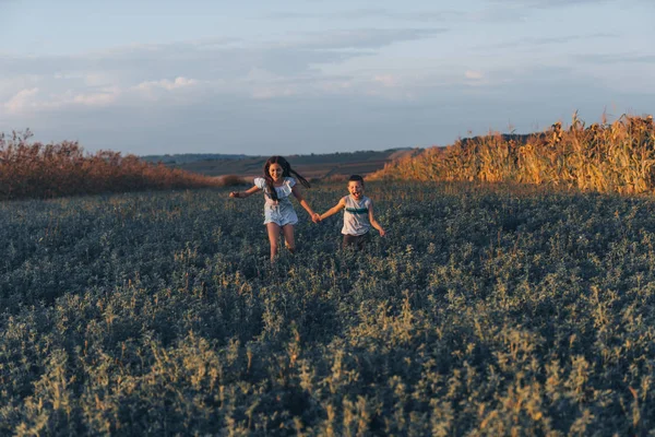 Impressionato adolescente sorella e fratello in abiti caasual tenendo le mani insieme, sorridendo e correndo attraverso il pasto — Foto Stock