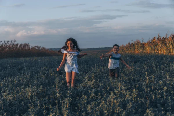 Belle fille brune adolescente avec des cheveux lâches courir avec son jeune frère en vêtements décontractés à travers le mealow, profiter pique-nique en famille ensemble — Photo