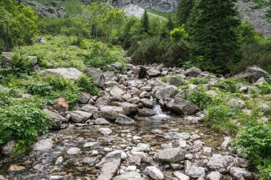 Dağlar panorama, nehir taşlar, manzara ile tatili