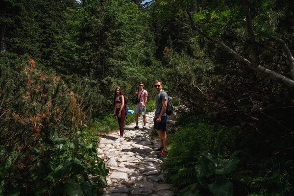 Sırt çantaları ile turist grubu dağlara iner, yaz yürüyüşü, arkadaşlar trekking günü, aktif yaşam konsepti — Stok fotoğraf