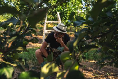 Beyaz şapkalı ve siyah tişörtlü üzgün çiftçi, bahçesinin arasında merdivenin üzerinde otururken dizlerinin üzerine çöktü, başının yanında eliyle aşağı bakıyor.
