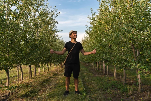 Feliz joven con sombrero y camiseta negra de pie entre manzanas jardín con las manos anchas y mirando hacia arriba esquina derecha — Foto de Stock