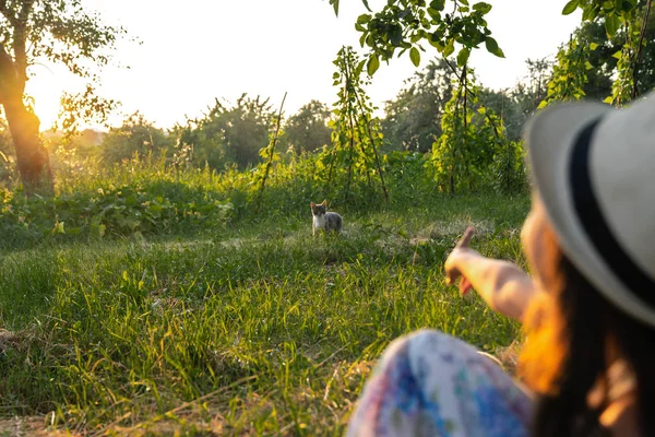 Giovane adolescente in abito con fiori di stampa e cappello bianco seduto di nuovo alla fotocamera sul prato con erba secca falciata e che indica il gatto grigio — Foto Stock