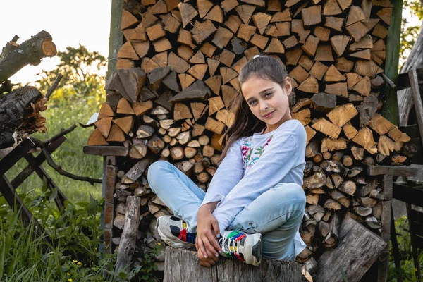 カジュアルな服を着た真剣な小さなブルネットの女の子は、カメラを見て、背景に薪を積み重ねて、蓮の位置にスタンプに座って — ストック写真