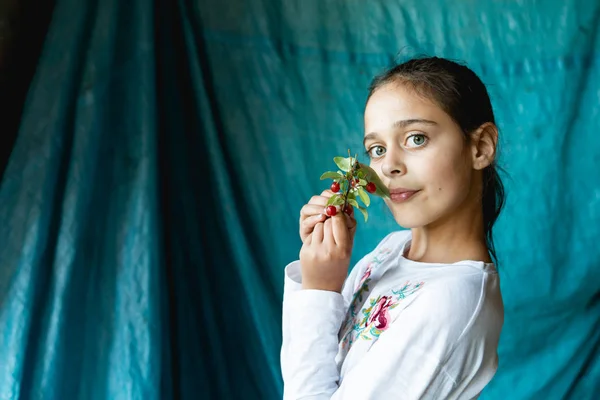 Joven linda chica en camiseta blanca con bordado nacional, sosteniendo una rama de viburnum en las manos, mirando a la cámara aislada contra el fondo azul — Foto de Stock