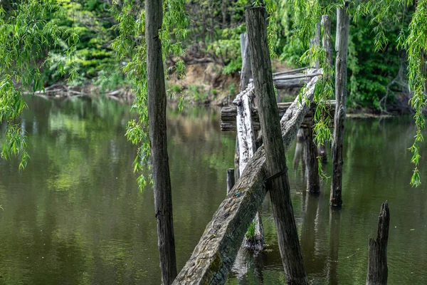 Gölün üzerindeki eski köprü. Gölün üzerinde eski bir ahşap köprü. — Stok fotoğraf