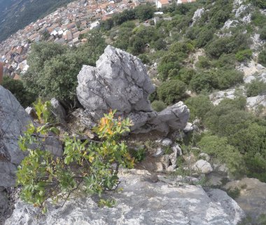 yukarıdan harika görünümü