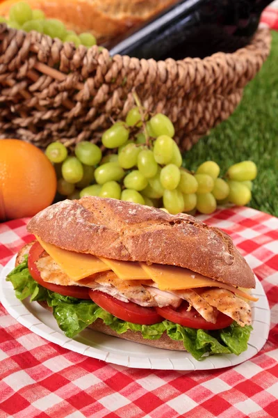 Picknickkorb Hühnersalat Baguette Sandwich — Stockfoto