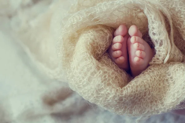Niedliche Neugeborene Babyfüße Eingewickelt Bequemen Stoff — Stockfoto