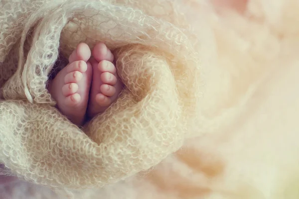 Bonito Recém Nascido Bebê Pés Envolto Confortável Tecido — Fotografia de Stock