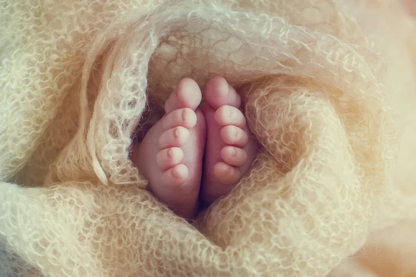 Niedliche Neugeborene Babyfüße Eingewickelt Bequemen Stoff — Stockfoto