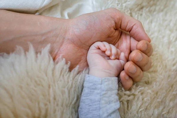 Małe Dziecko Ręki Ręką Ojca — Zdjęcie stockowe