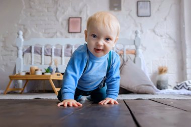Güzel mavi gözlü bebek ahşap zemin üzerinde tarama.