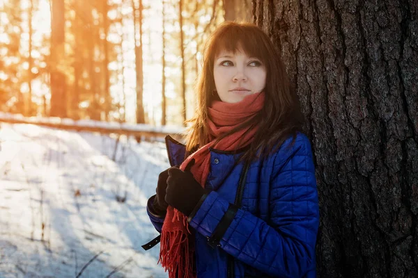 Portrait of a girl in a Sunny winter forest, which stands near a tree in a blue jacket and a red scarf.