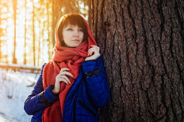 Portrait of a girl in a Sunny winter forest, which stands near a tree in a blue jacket and a red scarf.