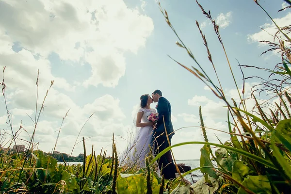 Hermosa pareja de recién casados en el fondo de la naturaleza. Tende. —  Fotos de Stock