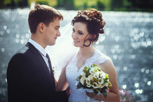 Belo retrato de noiva feliz e noivo no fundo de — Fotografia de Stock