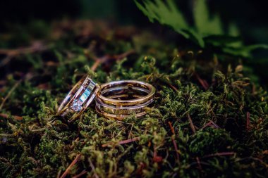 İki güzel altın alyans yalan üzerine yeşil yosun