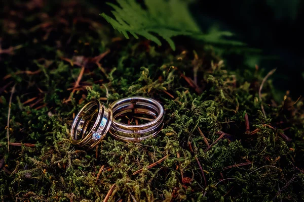 Two beautiful gold wedding rings lie on the green moss — Stock Photo, Image