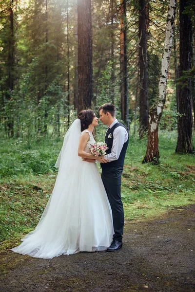 La novia en un lujoso vestido blanco largo y su novio posan sobre el fondo de un hermoso bosque verde —  Fotos de Stock