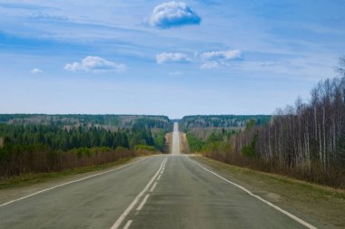 Güneşli yeşil ormanda uzun düz bir asfalt yol.
