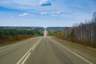 Güneşli yeşil ormanda uzun düz bir asfalt yol.