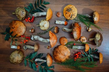 Sonbahar orman mantarları ahşap bir masanın üzerine serilmişti. Arkaplan