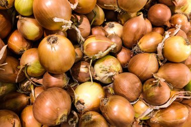 Altın sarısı soğan. Soğan dokusu