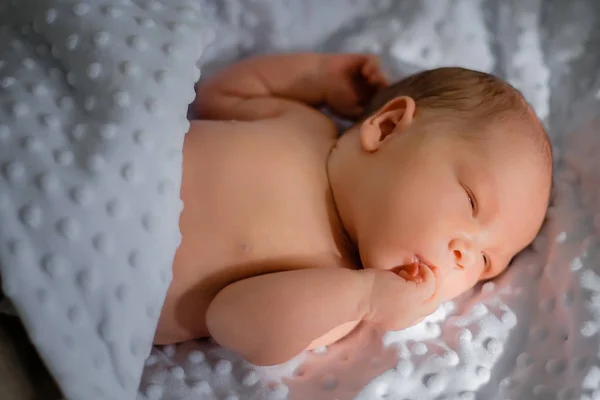毛布の上で新生児を寝 — ストック写真