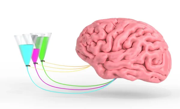 Brain control of human hormones and emotions. 3d render