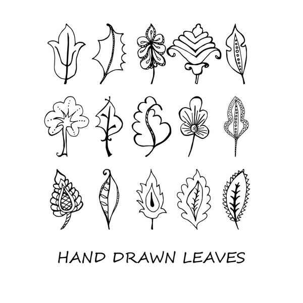 Hand-drawn leaves doodles set. Black silhouettes on white background.Isolated.