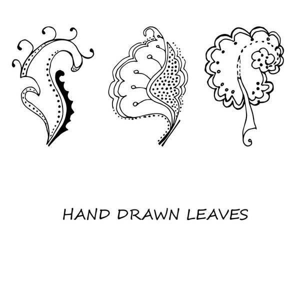 Hand-drawn leaves doodles set. Black silhouettes on white background.Isolated.