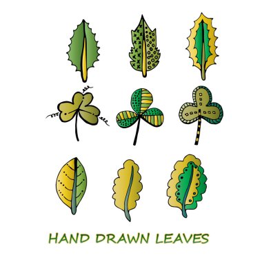 El çizilmiş vektör sonbahar yaprakları ayarlayın. Poster, mutfak tekstili ve web sitesi için tasarım
