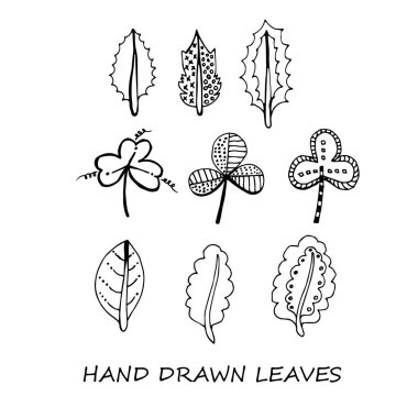 Elle çizilmiş yapraklar karalamalar ayarlanır. Beyaz arka planda siyah siluetler. Izole.