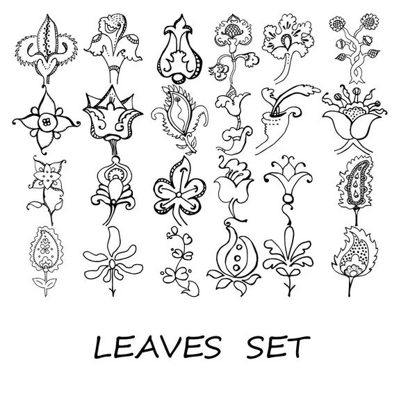 Vector ramas y hojas. Elementos florales elaborados a mano . — Archivo Imágenes Vectoriales