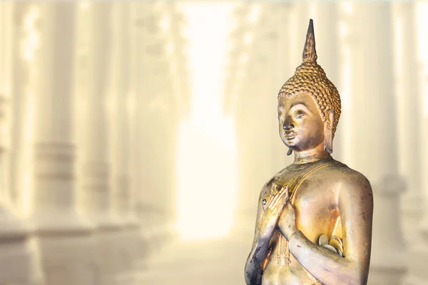 Spiritual buddha statue in the lights, meditating in stone temple