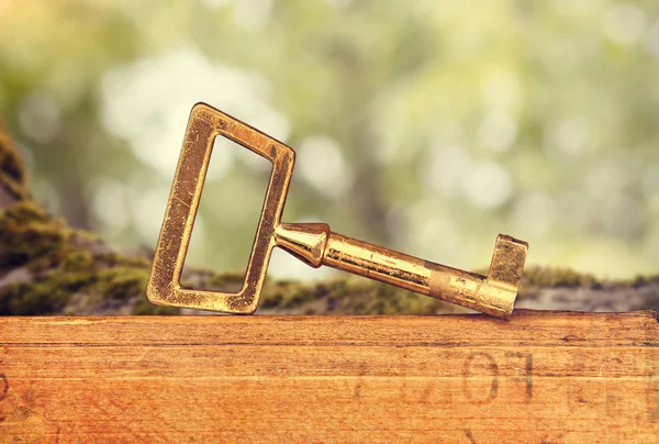Old chest key standing on wooden desk in the nature. Blurred forest and grass background with oldwoods. Space for text.