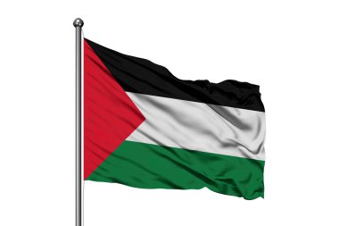 Filistin izole beyaz arka plan rüzgarda sallayarak bayrak.