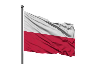 Polonya izole beyaz arka plan rüzgarda sallayarak bayrak. Polonya bayrağı.
